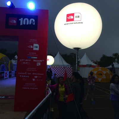 PVC reclame verzegelde opblaasbare ballonnen, op maat ontworpen opblaasbare ballonnen