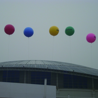 Aanpasbare promotie opblaasbare ballon Reclame opblaasbare ballon Aanpasbaar opblaasbare ballon Product