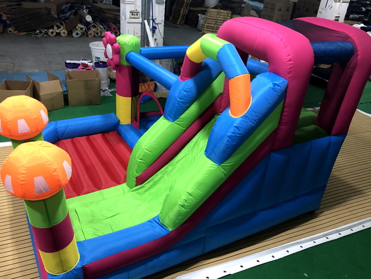 Opblaasbaar opblaasbaar springhuis Moonwalk Water Jumper Bouncer